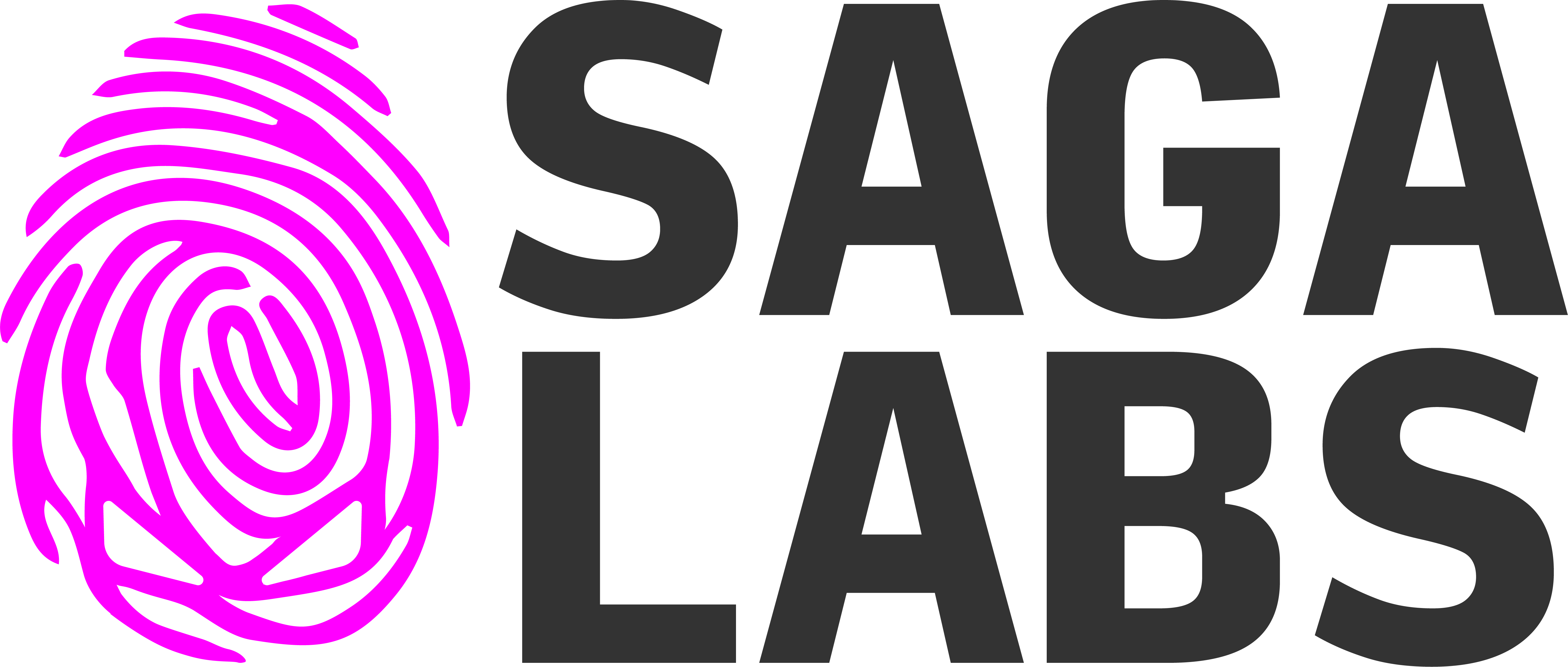 SagaLabs Logo